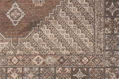 Carpet Devon Earthy Brown 200x300