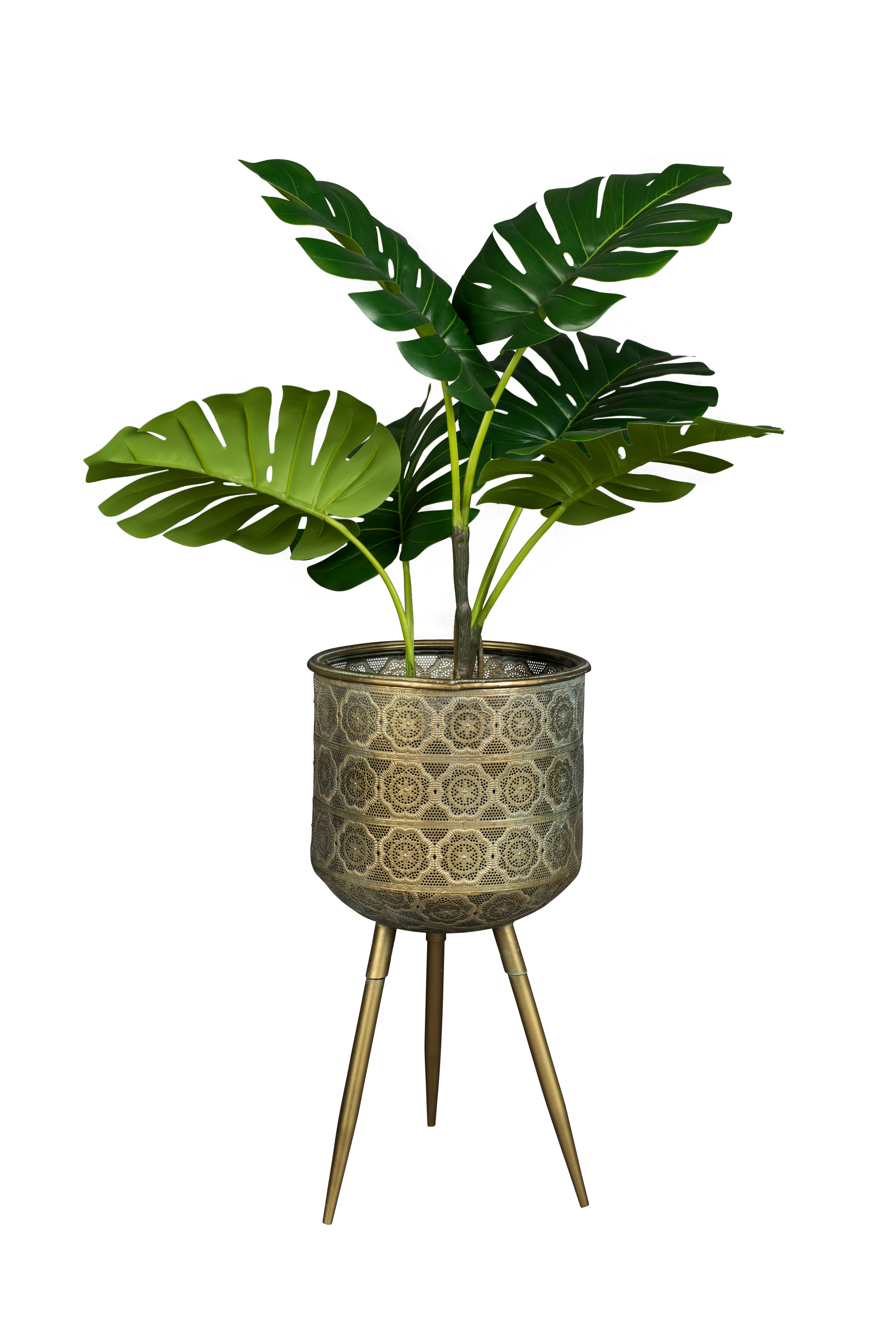 Plant Stand Botanique L