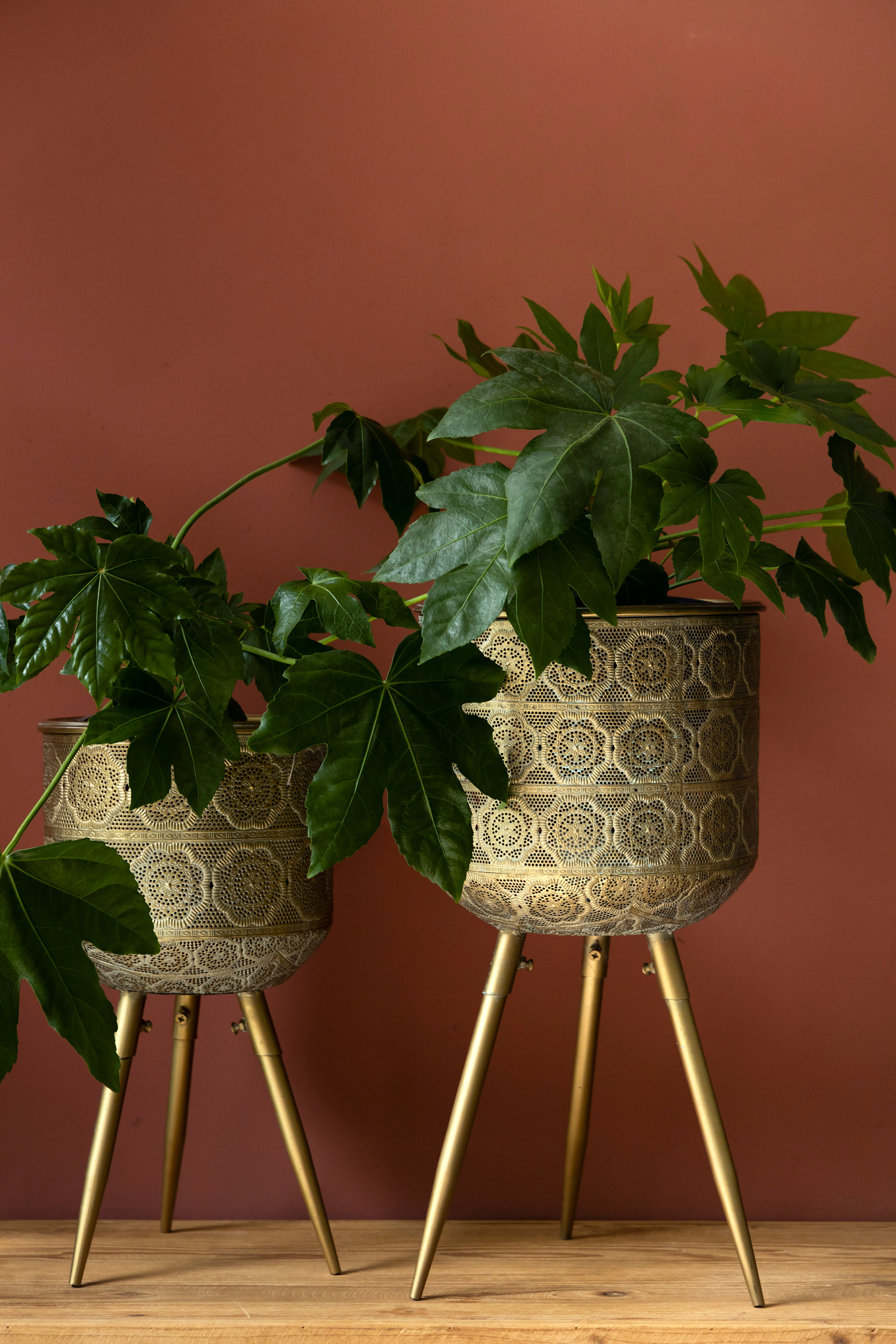 Plant Stand Botanique L