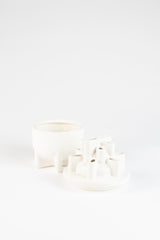 Vase Bassin Small