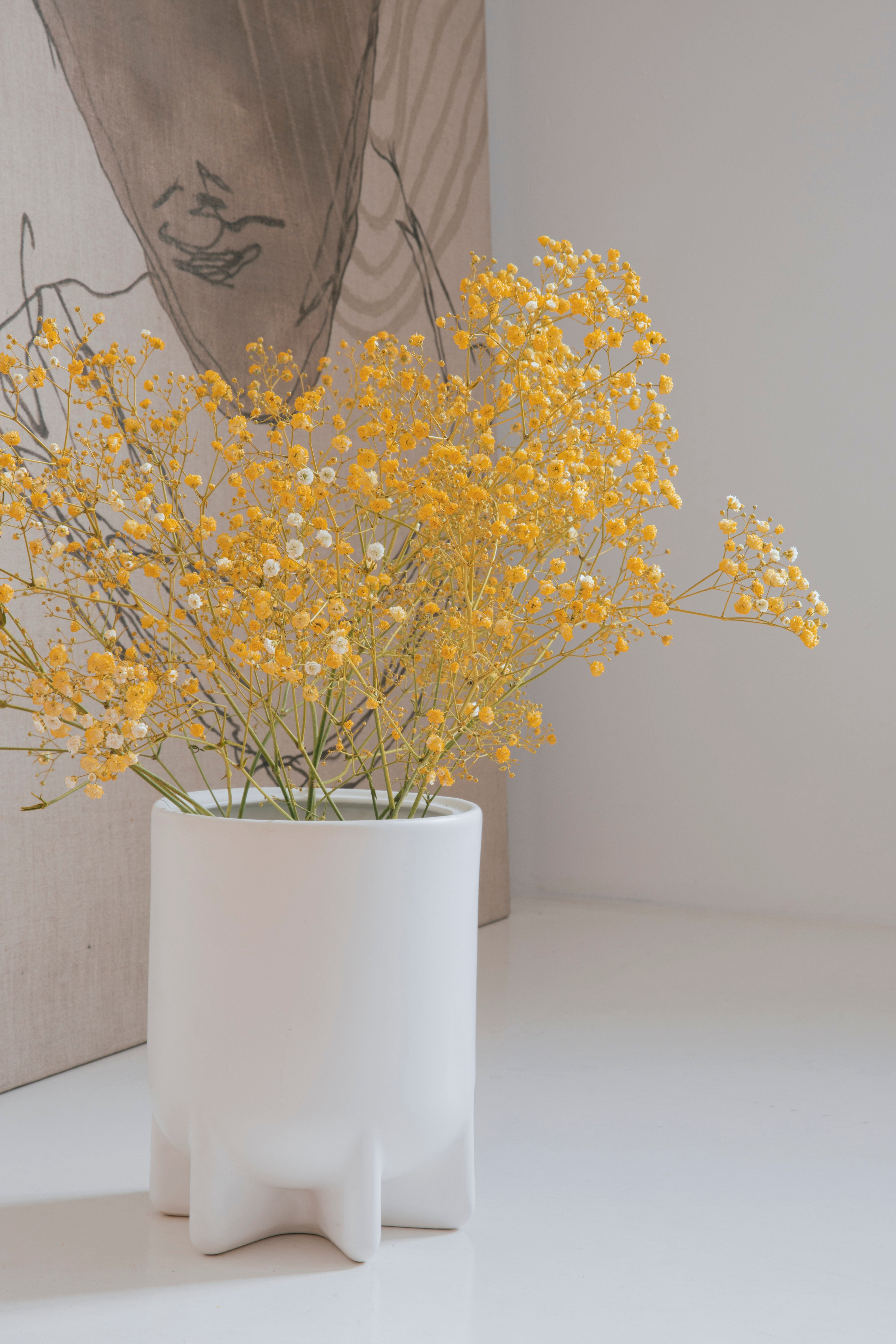 Vase Bassin Big